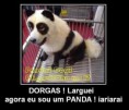 /album/galeria-de-fotos/a3-agora-virei-panda-jpg/
